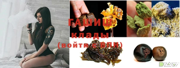 шишки Беломорск